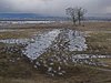 Tranetur_0085