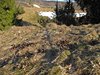 Tranetur_0248