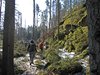 Tranetur_0249