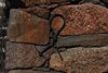 Tranetur_0264