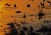 Tranetur_0204a