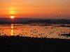 Tranetur_0176