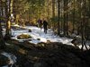 Tranetur_0217