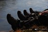 Tranetur_0261