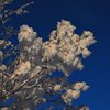 Venabu_0020