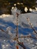 Venabu_0014