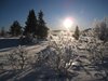 Venabu_0015
