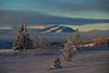 Venabu_0046a