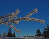 Venabu_0013