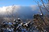 Venabu_0001