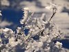 Venabu_0016