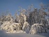 Venabu_0039