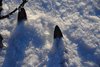 Venabu_0012