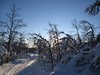 Venabu_0006