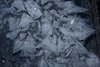 Venabu_0036a