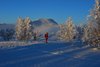 Venabu_0019