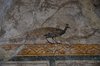 Amalfi_0248