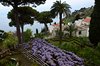 Amalfi_0578