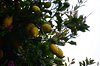 Amalfi_0354