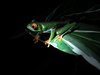 Costa_Rica_0708a