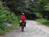 Costa_Rica_1314