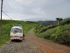Costa_Rica_1167