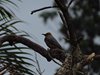 Costa_Rica_0931