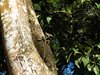 Costa_Rica_2121