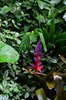 Costa_Rica_0268