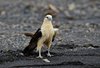 Costa_Rica_1808a
