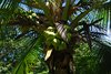 Costa_Rica_0580