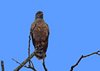 Costa_Rica_1373b