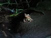 Costa_Rica_1104