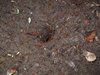 Costa_Rica_1283