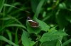 Costa_Rica_0760