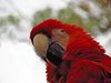 Costa_Rica_0212a