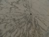 Costa_Rica_1662
