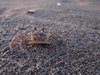 Costa_Rica_0724a