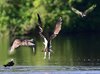 Costa_Rica_0496b