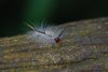 Costa_Rica_0198