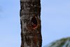 Costa_Rica_0643