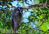 Costa_Rica_0489