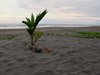 Costa_Rica_0427