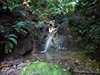 Costa_Rica_2161