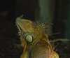 Costa_Rica_0591b