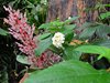 Costa_Rica_0230