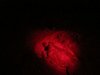 Costa_Rica_1729