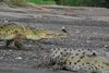 Costa_Rica_1831