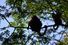 Costa_Rica_1752