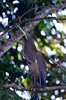 Costa_Rica_0502